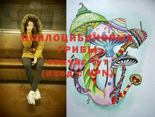 марки lsd Горно-Алтайск