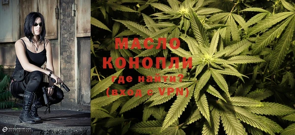 шишки Горнозаводск
